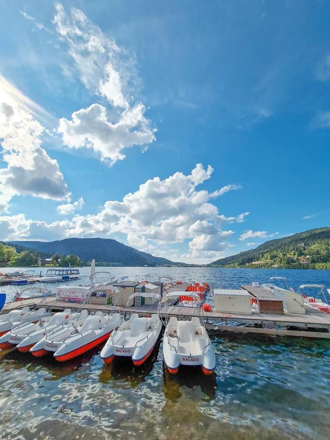 Studio Residence La Mauselaine La Perle Des Vosges Gerardmer Exterior photo